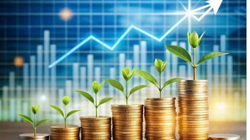 Empowering Rural India Through Collective Financial Growth